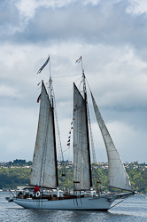 Schooner Kia Ora sailing along Foss Waterway, Tacoma
